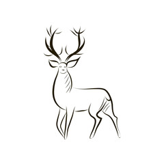 Hand drawing contour silhouette of a graceful deer