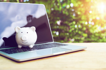 Piggy Bank with laptop on wood table in the public park.money saving financial concept.