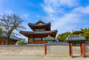 Autumn leaves Deoksugung Palace in Seoul South Korea