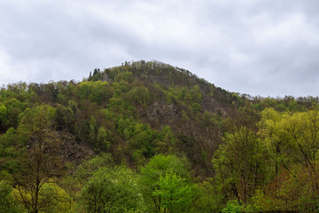 Fototapeta na wymiar trees on rocky mountains in cloudy day.