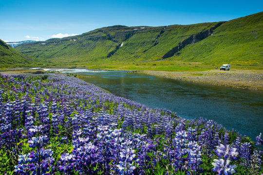 Coastline and landscape in the west fjords, Iceland