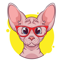 cute sphynx avatar with a yellow background