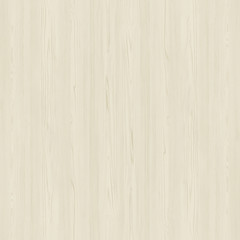 Fototapeta premium Old Wood Texture Background