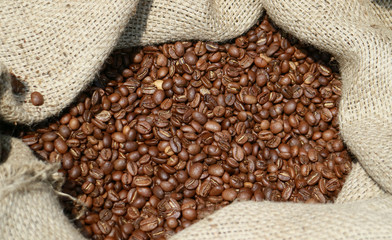 Roasted coffee beans from Indonesia in a burlap sack.