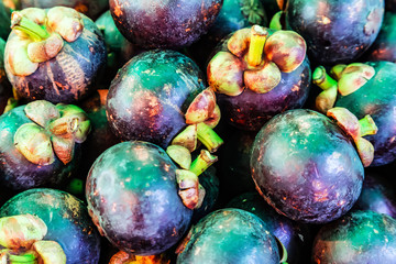 Background Mangosteen