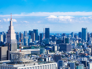 都庁から眺める東京都心部