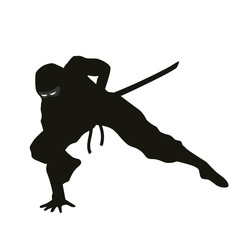Obraz premium Ninja Silhouette