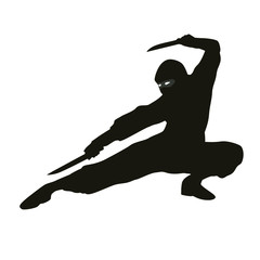 Ninja Silhouette