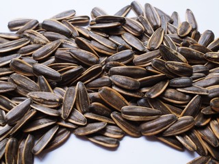 Sun Flower seed isolated on white background.