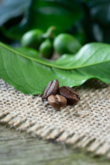 Leaves, berries and beans of coffee on wooden background. Macro. Vertical