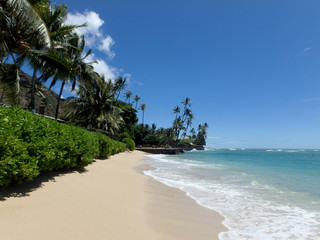 Makalei Beach with waves lapping, napakaa, lava rock wall and Coconut trees along the shore