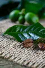 Leaves, berries and beans of coffee on wooden background. Macro. Vertical