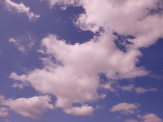 雲