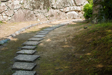 stepping stones seen in Japan