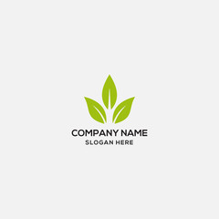 leaf logo design template - vector