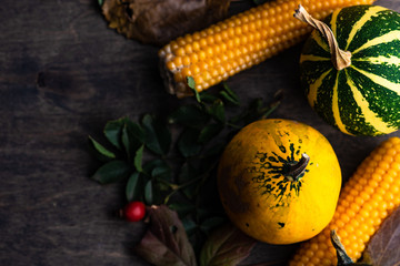 Autumnal frame concept