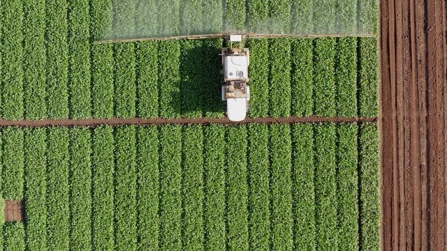 Pesticide Sprayer Tractor working on a Sugar Beet  field, Top down aerial follow footage.