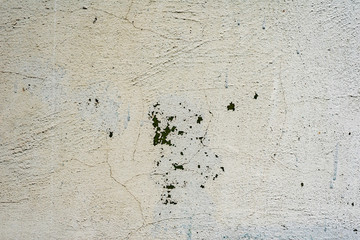 Texture of a concrete wall with cracks and scratches which can be used as a background