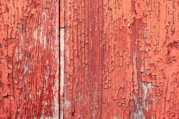 Texture, wood, wall, it can be used as a background. Wooden texture with scratches and cracks