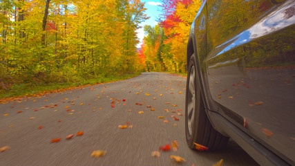 CLOSE UP: Detail of SUV car tyre driving on empty forest road in sunny autumn © helivideo