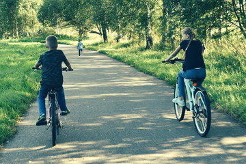 Children on bicycles in the summer forest. Brother and sister ride bicycles.