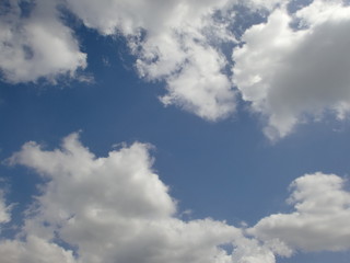 Fototapeta premium 雲