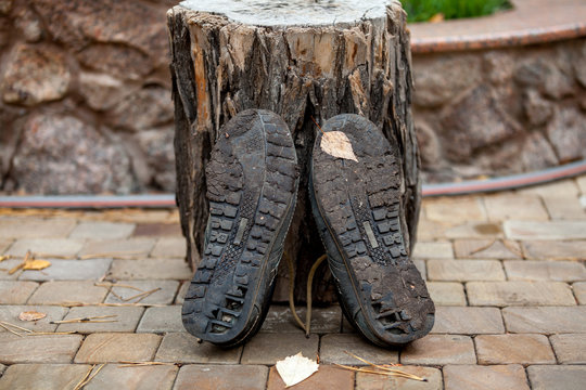 Two old shoes lean on stump with sole up