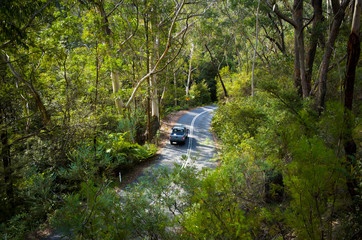 Fototapeta na wymiar Aerial view of car driving down mountain road in rainforest