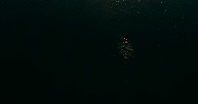 Aerial Swimmer Practicing.Drone View Triathlete Man Swimming Freestyle Crawl In Sea.Aerial Triathlete In Wetsuit Swimming In Sea.Triathlon Swimmer In Professional Triathlon Suit Training Ironman.