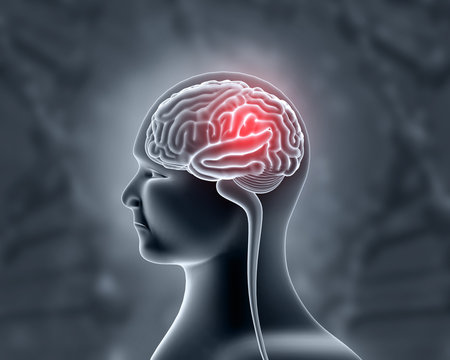 Human brain anatomy .Human brain diseases. Medical background. 3d illustration