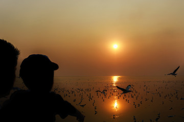 Fototapeta premium silhouette of man on the seagull at sunset