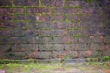 mossy pattern on old brick wall