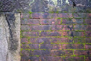 old brick wall with moss