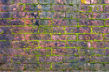 old brick wall of red bricks and mossy pattern, texture