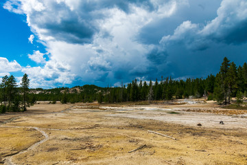 Fototapeta na wymiar Norris Geyser Basin, Yellowstone National Park