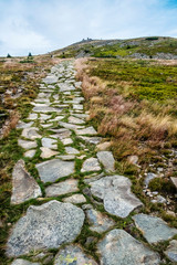 Stoned footpath, Babia hora hill, Slovakia
