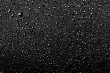 Water droplets on black background - obrazy, fototapety, plakaty