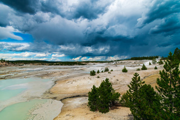 Norris Geyser Basin, Yellowstone National Park