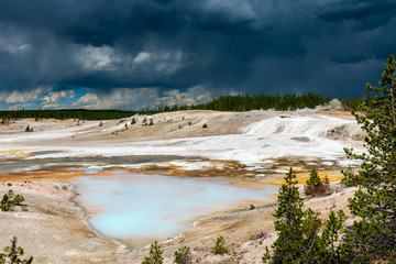 Norris Geyser Basin, Yellowstone National Park