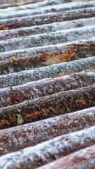 Image of snow-covered logs at sawmill