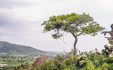 paisaje en mexico
