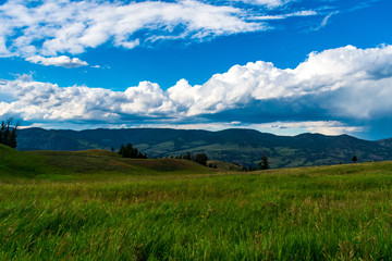 Yellowstone National Park Mountain View