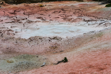 Mud Pots, Yellowstone National Park