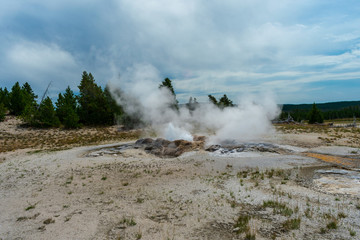 Geyser Erupts In Yellowstone National Park