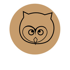 owl characters. Collection of owls. Vector illustration