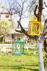Fototapeta na wymiar Colorful iron lanterns hanging on a small apple tree in the garden.