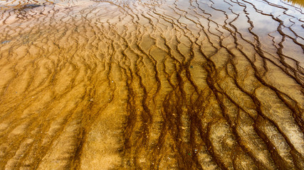 Patterns in Yellowstone National Park