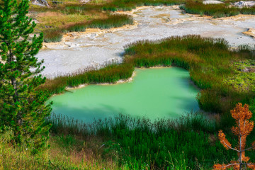 West Thumb Geyser Basin, Yellowstone National Park
