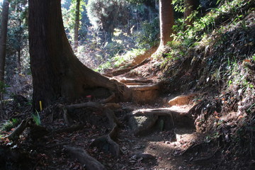 石老山への登山道