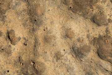 brown stone texture, close-up stone background texture